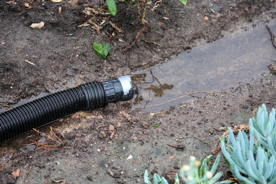 A black plastic hose attached to a house rain gutter or storm drain to divert rain water away from the house down into the garden during a rain storm.