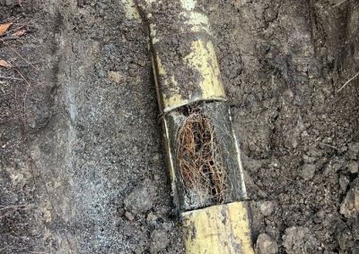 Drain Blockage - roots in drain pipe