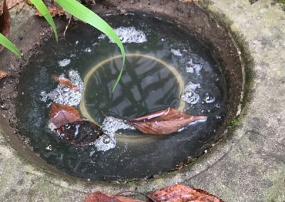 Drain Blockage - stormwater blockage eastern suburbs