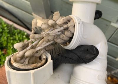 Drain Blockage - cotton buds put down sink blocking water flow