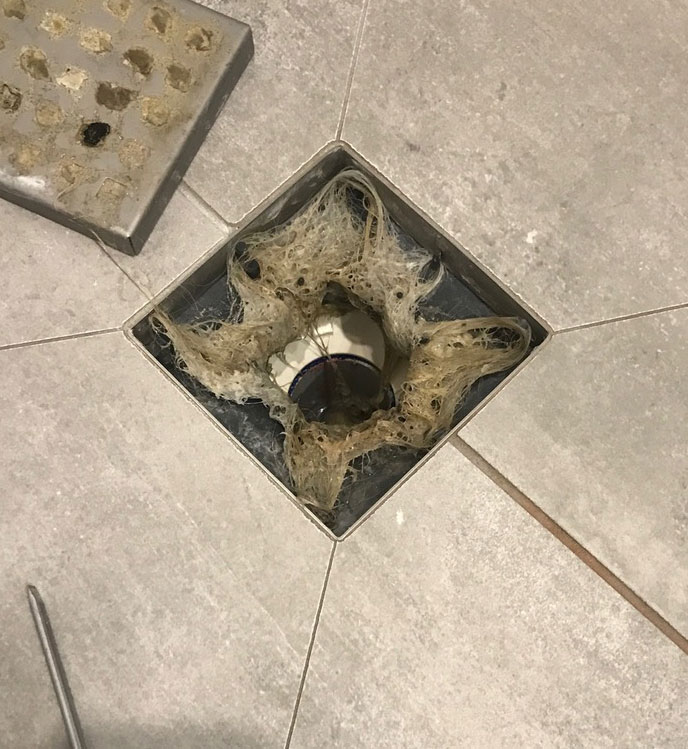 blocked showers in eastern suburbs of Melbourne fixed by H2Pro Plumbing