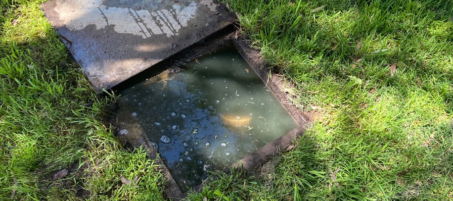 stormwater blockages fixed by H2Pro Plumbing