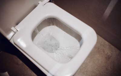 Why Is My Toilet Leaking or Constantly Running