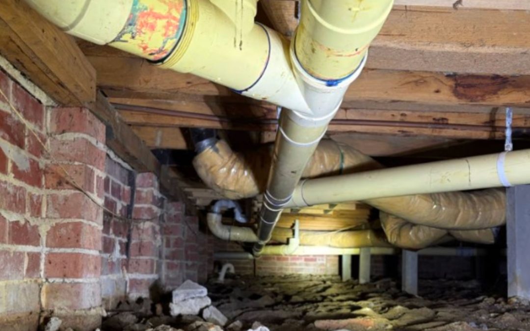 When Was the Last Time You Looked Under Your House?