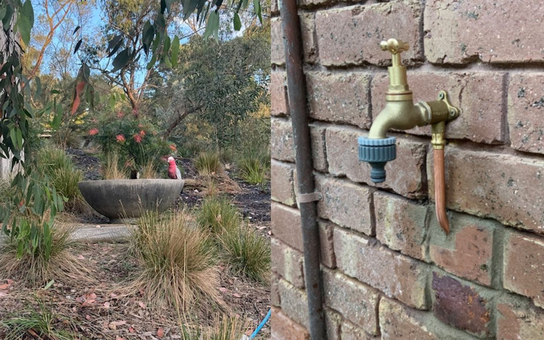 Make Summer Watering Easier with an Extra Garden Tap