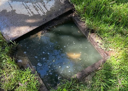 drain-pits-overflowing-h2pro-plumbing Drain pits are overflowing?