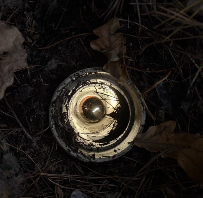 CCTV drain camera showing tree roots inside a sewer drain in Park Orchards during a yearly drain inspection.