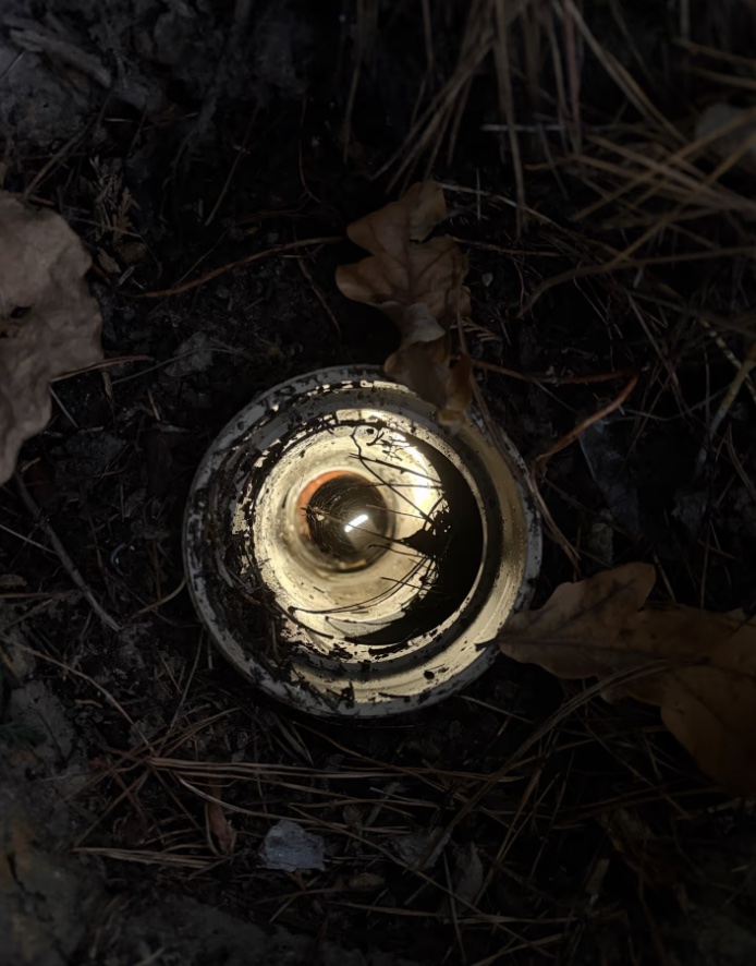 CCTV drain camera showing tree roots inside a sewer drain in Park Orchards during a yearly drain inspection.