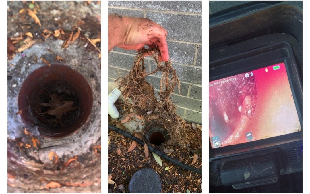 Plumbing Spotlight | Recurring Blocked Shower Caused by Tree Roots | Doncaster 3108