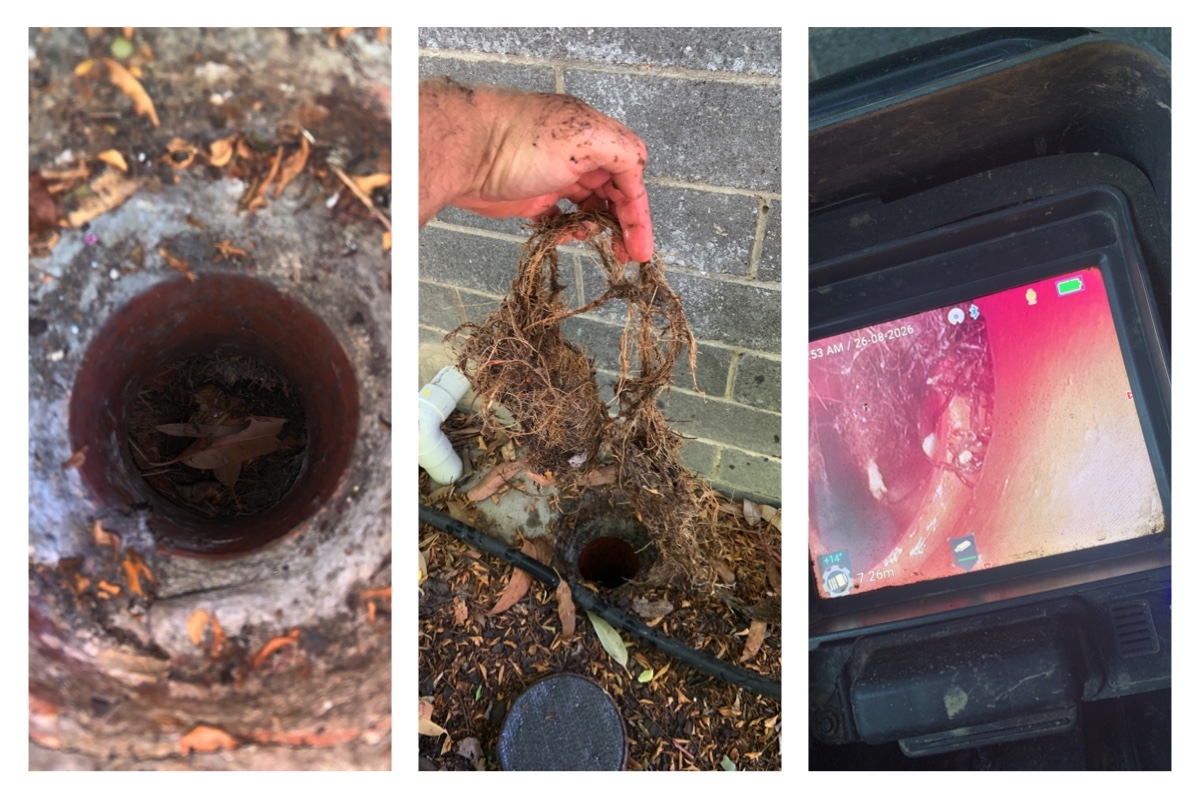 Blocked drain in Doncaster showing tree roots inside pipe.